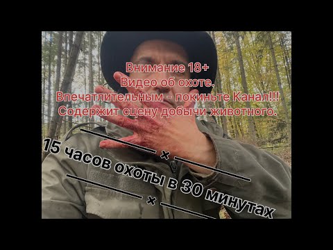 Видео: Секреты охоты: как искать зверя, если он редок а массивы огромны.