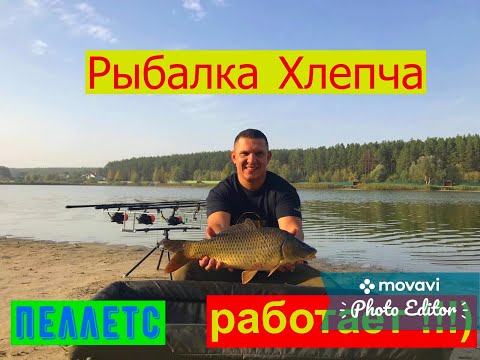 Видео: Ловля карпа в селе Хлепча,отдых и рыбалка под киевом, без рыбы трудно уехать!!!