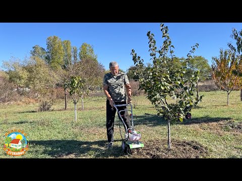 Видео: КАК живёт ДЕРЕВНЯ осенью?
