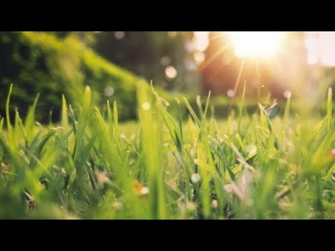 Видео: 💐 Ароматы от FABERLIC на  ВЕСНУ-ЛЕТО 2025г. ⚘⚘⚘                    #парфюмерия  #ароматыфаберлик