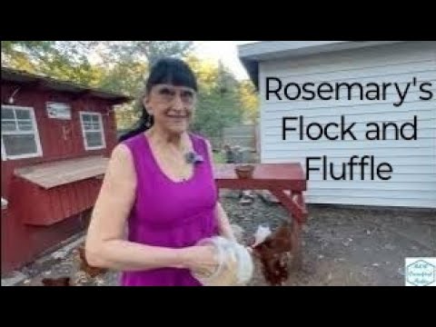 Видео: Флок и Флаффл Розмари | Эпизод 215