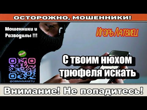 Видео: Мошенники звонят по телефону / С твоим нюхом трюфеля искать ( сборник ).