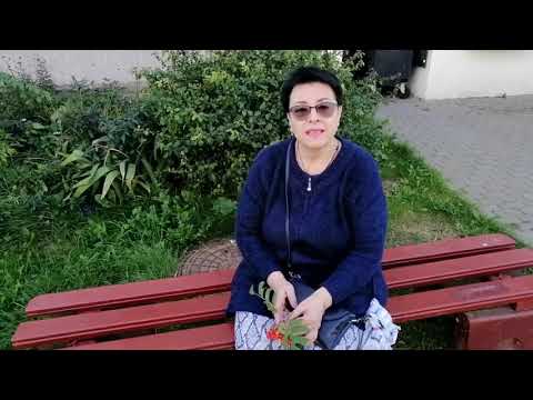 Видео: 129. Прогулка в "Бабье лето"🌳🌤️🕌🌳🍁🌿🍁