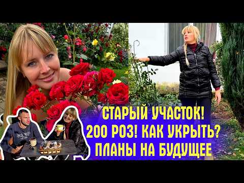 Видео: СТАРЫЙ УЧАСТОК! Мои 200 роз! Как НАДЁЖНО укрыть на зиму! Рабочий процесс! ДЕЛИМСЯ ПЛАНАМИ на БУДУЩЕЕ