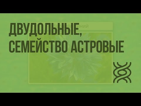 Видео: Двудольные, семейство Астровые. Видеоурок по биологии 6 класс