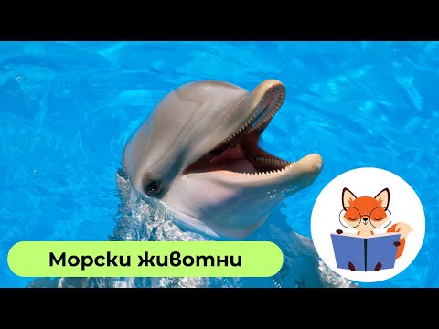 Видео: Подводно Приключение: Учим за Морските Животни