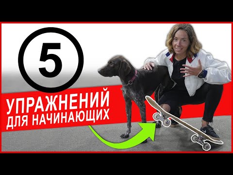Видео: 5 ЛАЙФХАКОВ для начинающих скейтеров  . BORN Skateshop