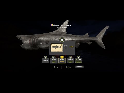 Видео: СТРИМ ПО РР4! ОХОТА ЗА РАЗМОТОМ В ТРОЛЛИНГЕ НА МОРЕ!!!!