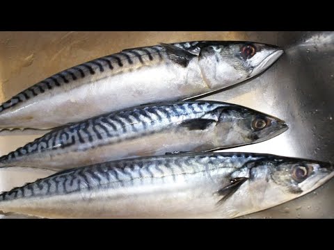 Видео: Скумбрия сочная запеченная в фольге с овощами на мангале