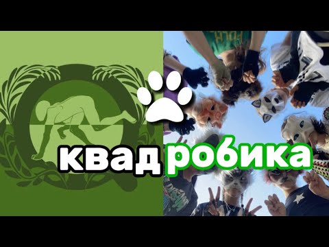 Видео: РЕАКЦИЯ НА КВАДРОБЕРОВ ИЗ ЛАЙКА! за что ХЕЙТ?