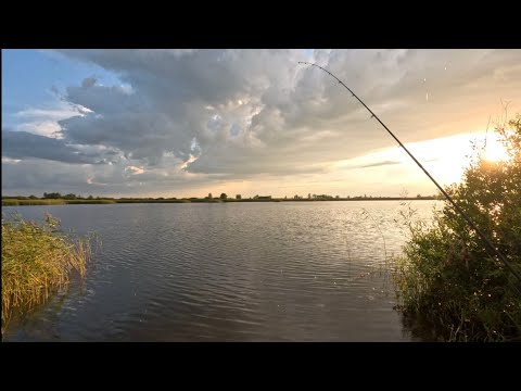 Видео: ЛОВИМ КАРАСЯ И ГОТОВИМ  БУРГЕРЫ НА МАНГАЛЕ