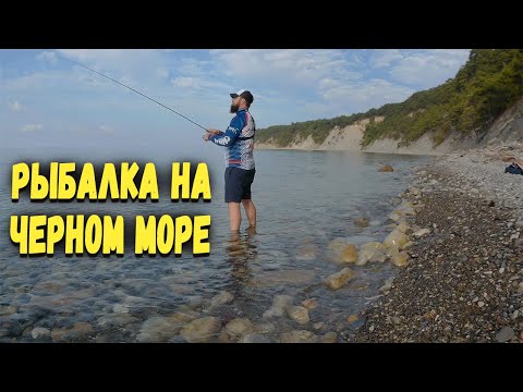 Видео: Рыбалка на Черном Море. Как я Искал Рыбу. Ловля на СПИННИНГ