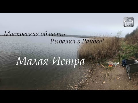 Видео: Платная рыбалка в Раково! Рыбные хозяйства Малая Истра  Первый опыт Фидер Волжанка Оптима 90г.