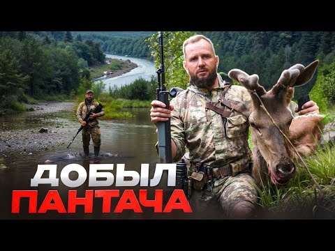 Видео: ОХОТА на ИЗЮБРА в СИБИРИ  Изготовление ЭКСТРАКТ ПАНТОКРИНА