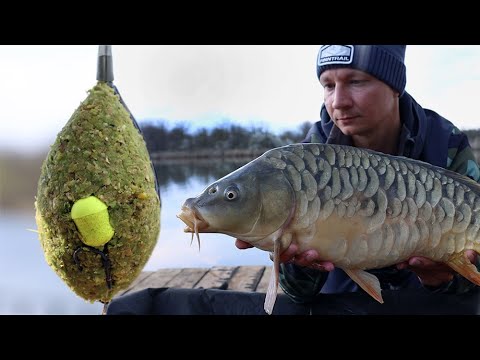 Видео: Рыбалка на сазана клёв рыбы на снасть флэт-фидер, хороший улов карпа весной 2023