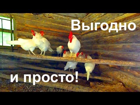 Видео: Бизнес в деревне / Выгодно и просто / Простой деревенский курятник.