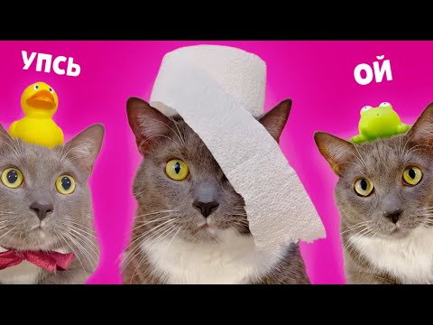 Видео: КОТИКИ В ШКОЛЕ - НОВЕНЬКИЙ