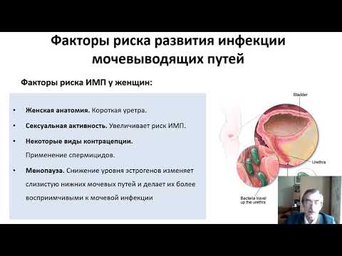 Видео: Пациентские лекции: Инфекции мочевых путей. Профессор Зайцев А.В.