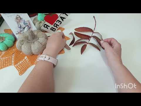 Видео: Посиделки выходного дня! 19.10.25