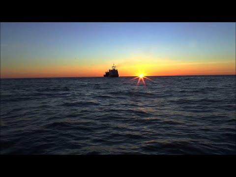 Видео: Далеко ли до Таллина?