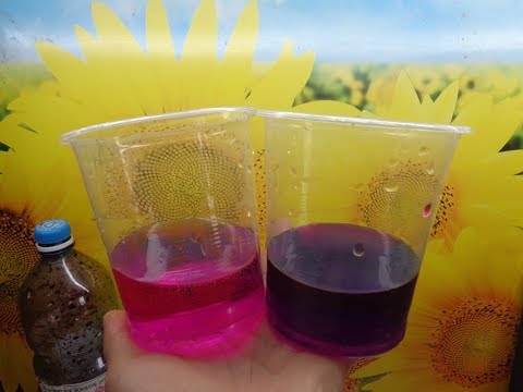 Видео: ПРОТРАВЛИВАТЬ СЕМЕНА МАРГАНЦОВКОЙ - С ОСТОРОЖНОСТЬЮ! Ольга Чернова.