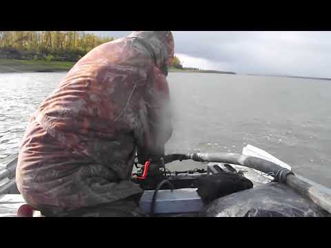 Видео: Охота на Бивни Мамонта в Якутии