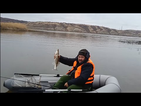 Видео: Рыбалка в Калаче-на-Дону в конце ноября 2024 год