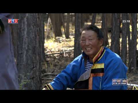 Видео: Эх өв  Талхи   Хэнтий аймгийн Дадал сумаас бэлтгэв  (2018)