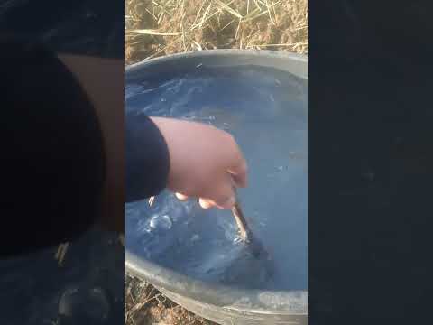 Видео: кампостка м бактерия шашу жумыстары