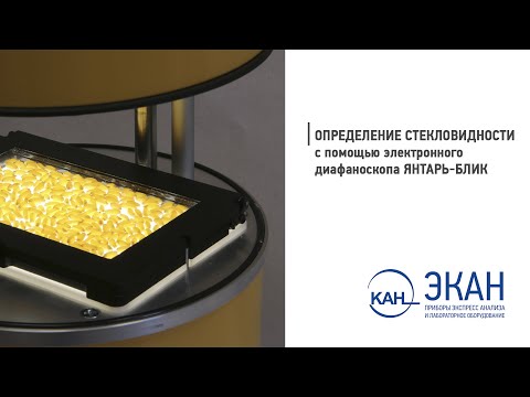 Видео: Вебинар ЭКАН №11: определение стекловидности с помощью электронного диафаноскопа ЯНТАРЬ