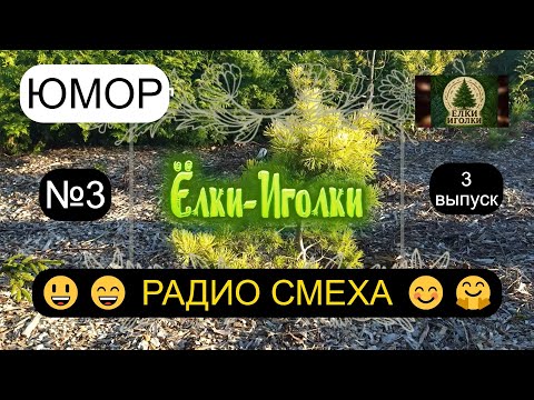 Видео: ЮМОР 2025 I РАДИО СМЕХА I НОВЫЕ АНЕКДОТЫ И ШУТКИ I Релакс-канал "Елки-Иголки"🎄🌼🌷🌳 #юмор #шутки #смех