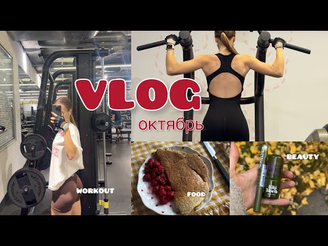Видео: vlog. октябрь. возвращаюсь в режим спустя 3 недели отдыха