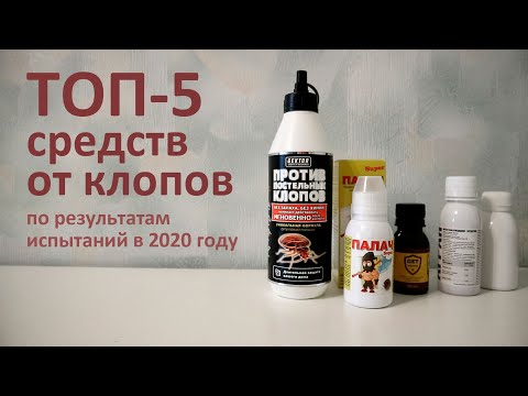 Видео: Лучшее средство от клопов в 2020 году: результаты наших испытаний