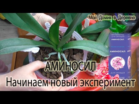 Видео: АМИНОСИЛ витамины для растений / Проведём опыт на разных группах растений !
