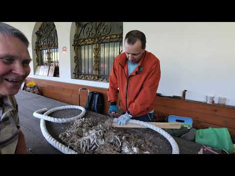Видео: 8 И Лукинов Булат Кузнецова В