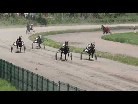 Видео: 24.05.2025г.Абаканский ипподром  Приз Кипра лошади 3-х лет орловской  рысистой  породы 1600м