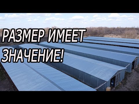 Видео: Александр и его ХОЗЯЙСТВО!