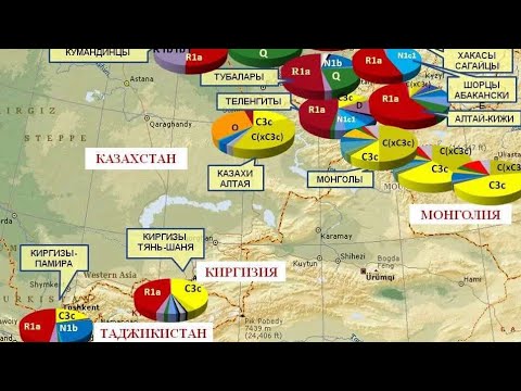Видео: Кыргызская гаплагруппа R1a