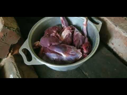 Видео: Открытие сезона в новой избушке | Волэнды Дальнего Востока