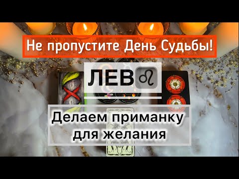 Видео: Лев ♌️ 17 - 23 ноября: таро прогноз и ритуал на День Доли 
