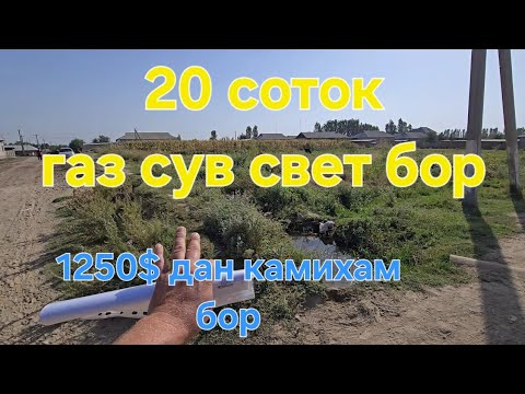 Видео: Арзон ер сораганларга 20 соток 