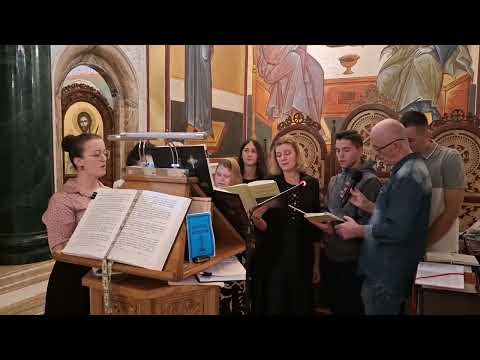 Видео: Догматик  8. гласа - ,,Цар Небесниј" (19.10.2024.год.)