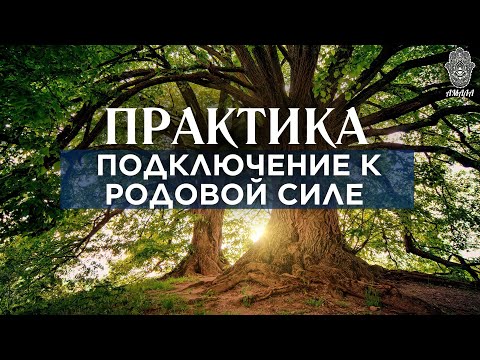 Видео: Практика. СОЕДИНЕНИЕ С РОДОВОЙ СИЛОЙ