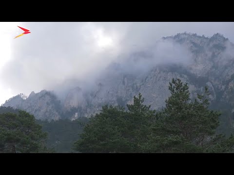 Видео: Балц Стыр Мызурмæ I Фыдæлты уæзæгмæ