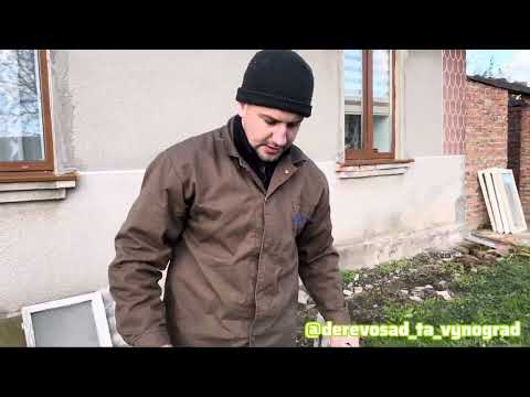 Видео: Укриття для ківі🥝 інжиру, хурми на зиму@derevosad_ta_vynograd  #сад #інжир #хурма #2025 #зима 