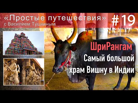Видео: "Простые путешествия" #19 - ШриРангам - самый большой храм Вишну в Индии