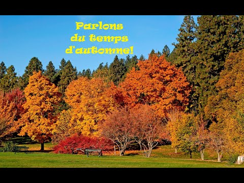 Видео: Le temps d'automne.   Время поговорить по-французски об осенней погоде.  Просто и доступно.
