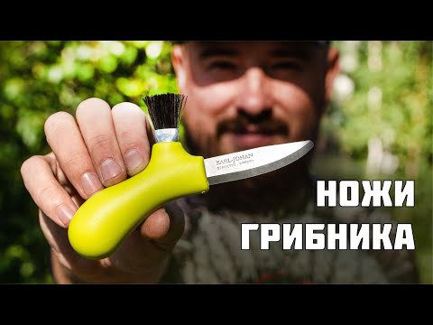 Видео: Зачем щетка грибному ножу? Обзор для «тихой» охоты.