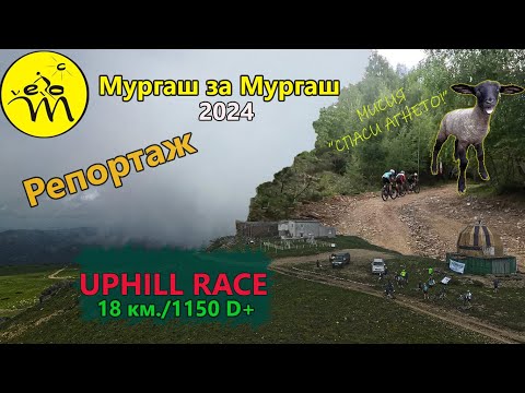 Видео: (RACE) Мургаш за Мургаш 2024 - Репортаж