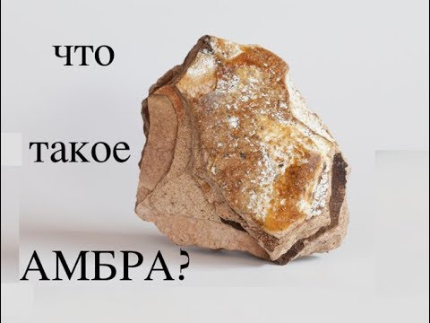 Видео: АМБРА что это такое??? Парфюм изнутри